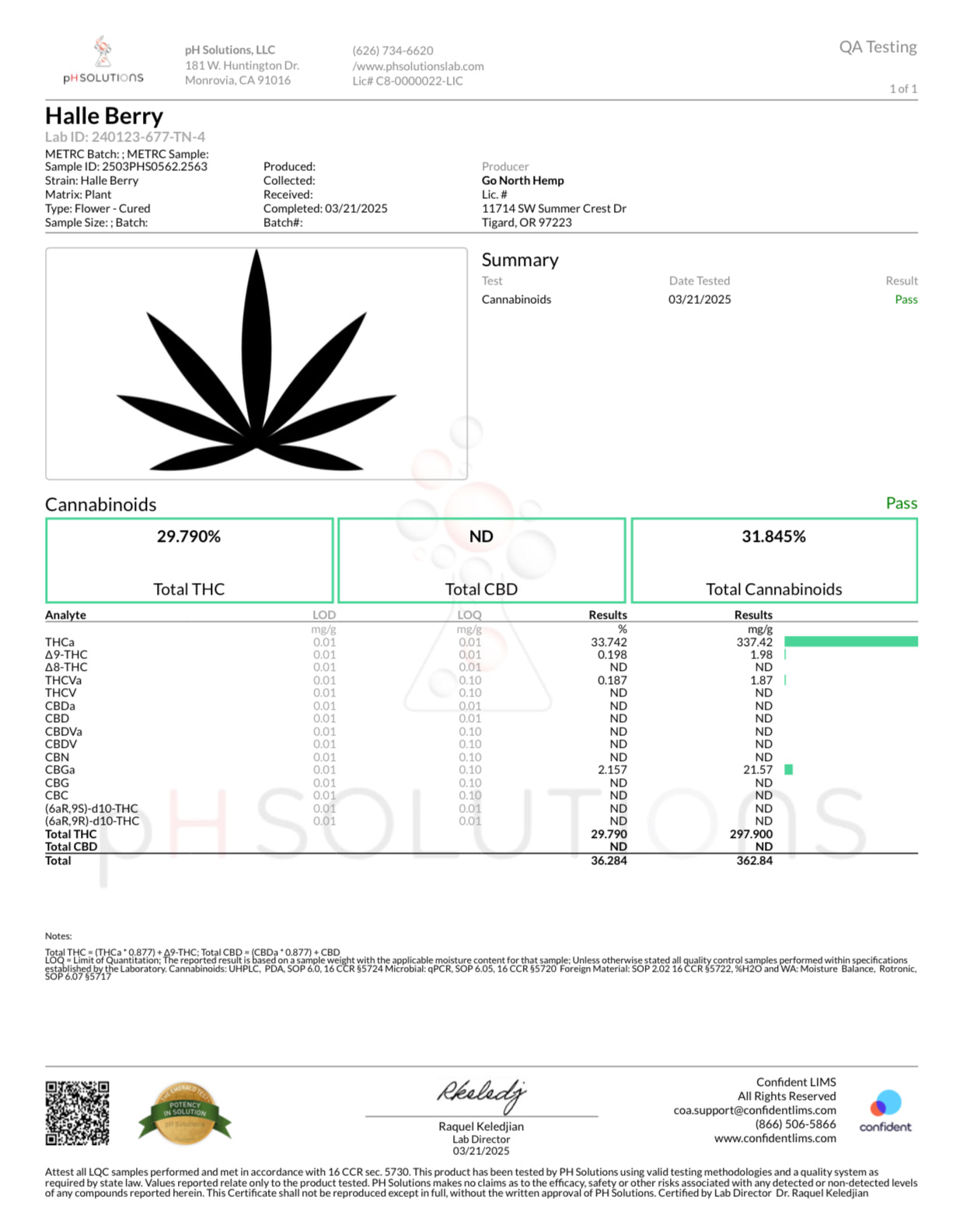 Halle Berry THCA (bulk)