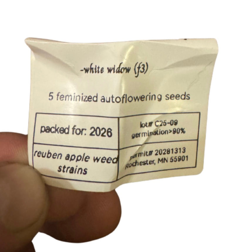 White Widow Auto (Fem) x5 pack